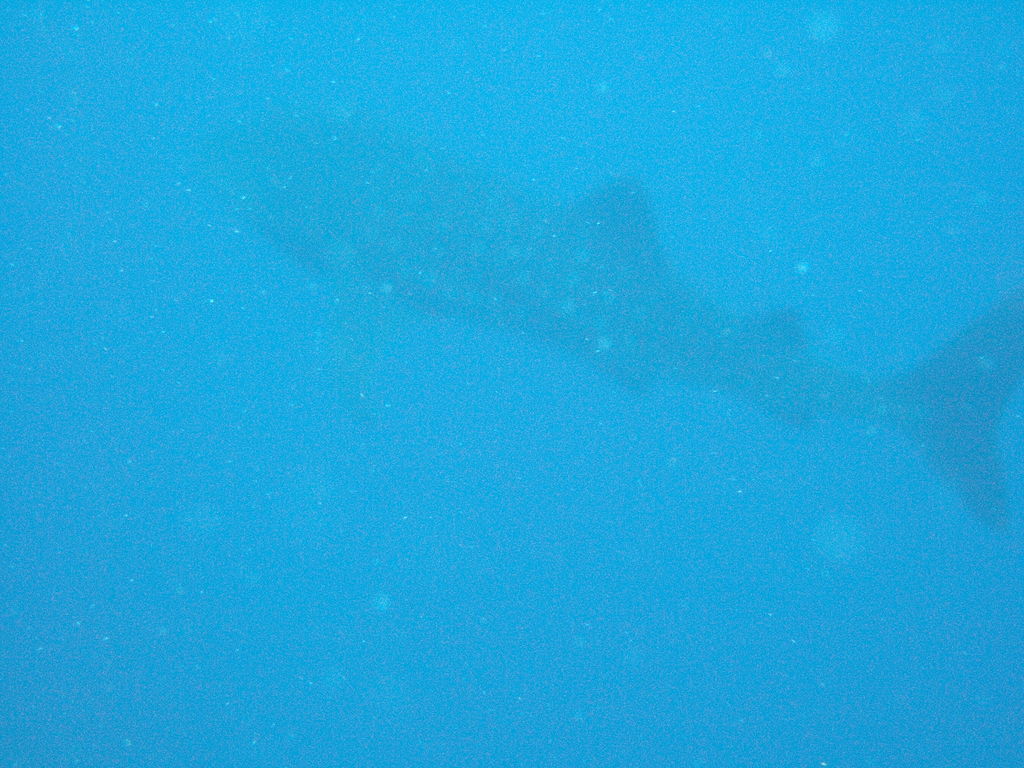 a9cbf3d6-15ca-46af-8d01-153d173160a2