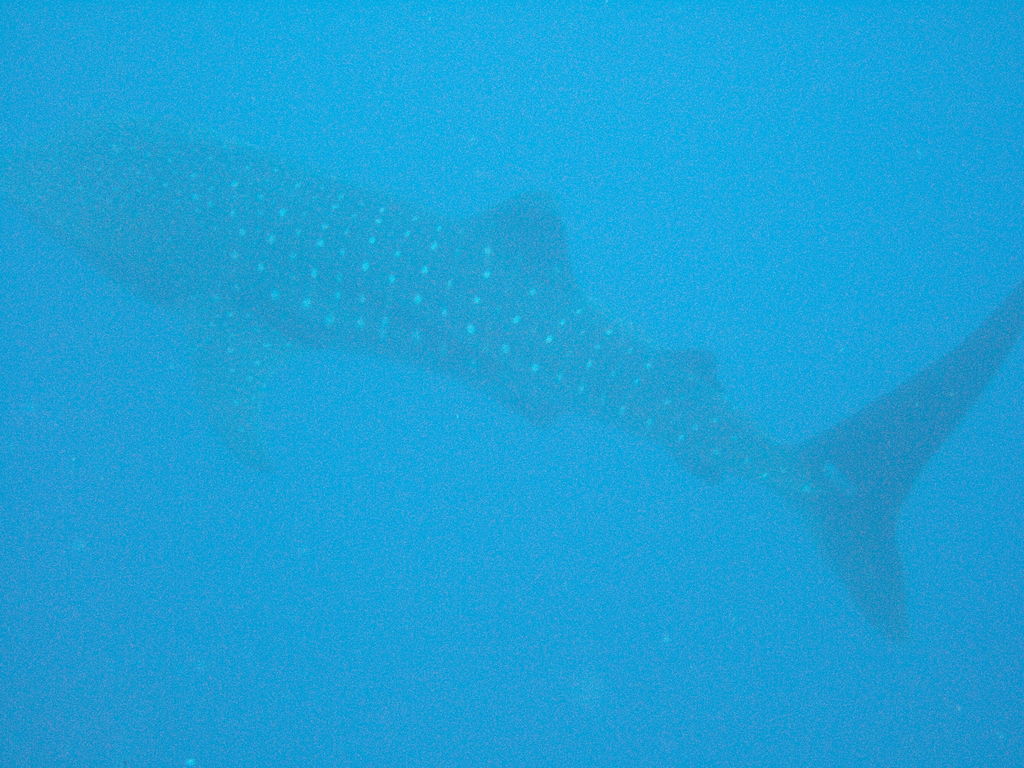 a9cbf3d6-15ca-46af-8d01-153d173160a2