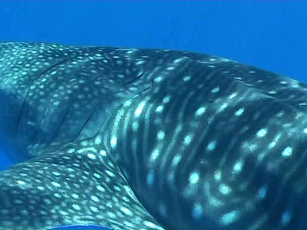 141f718f-906f-418f-8c47-f28e06ec8c90