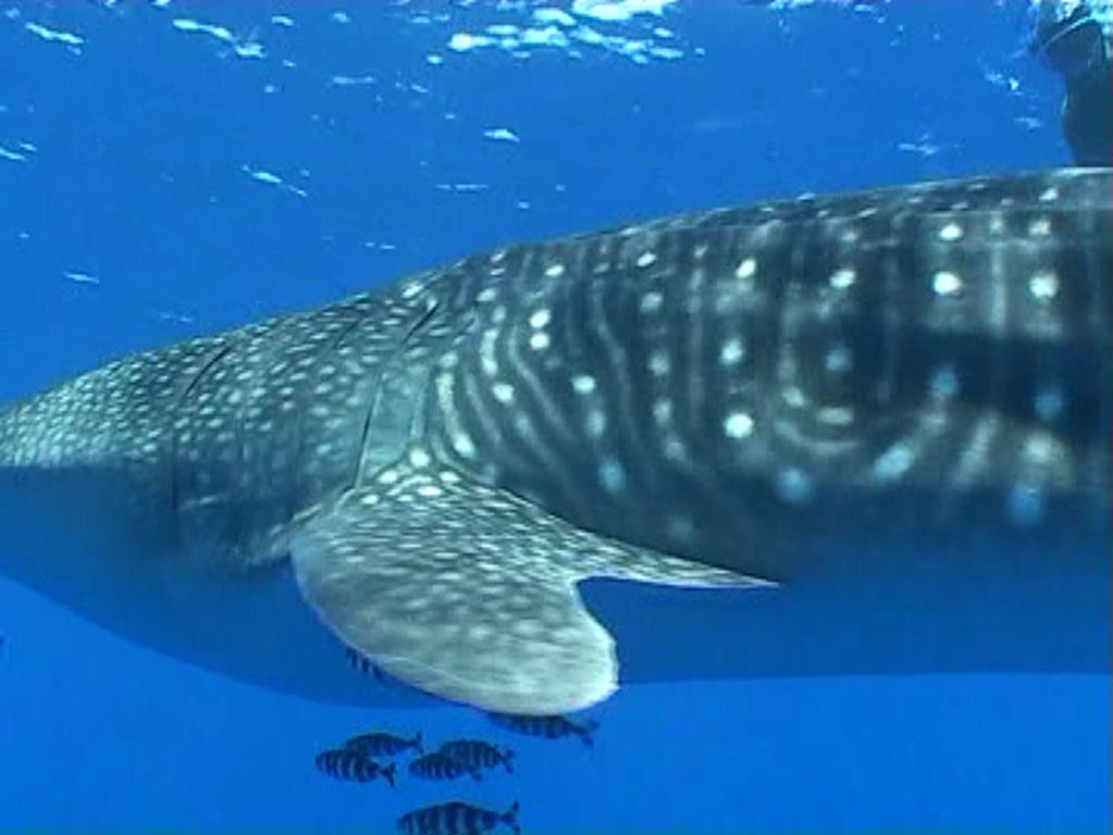 141f718f-906f-418f-8c47-f28e06ec8c90