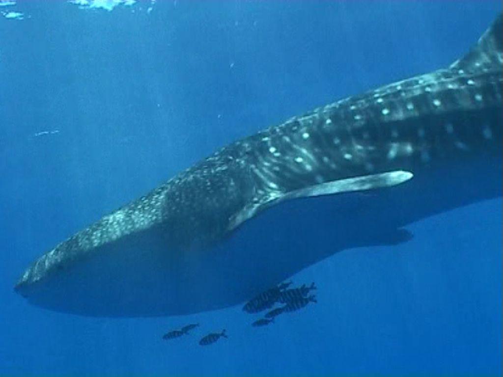 141f718f-906f-418f-8c47-f28e06ec8c90