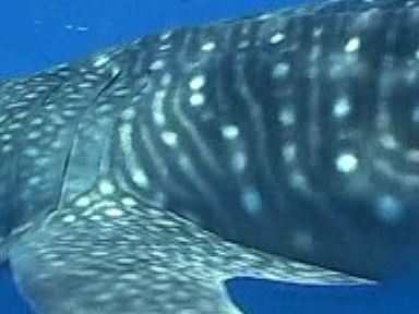 141f718f-906f-418f-8c47-f28e06ec8c90