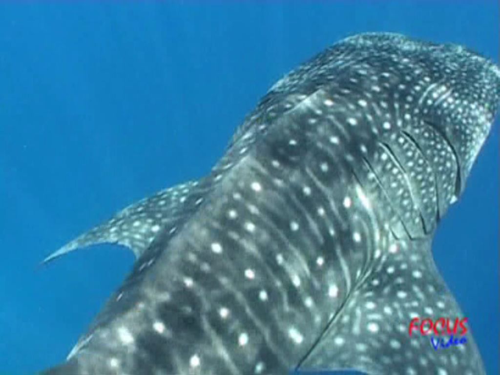 11f9313a-c78d-4de3-a1a2-87fc3510df26