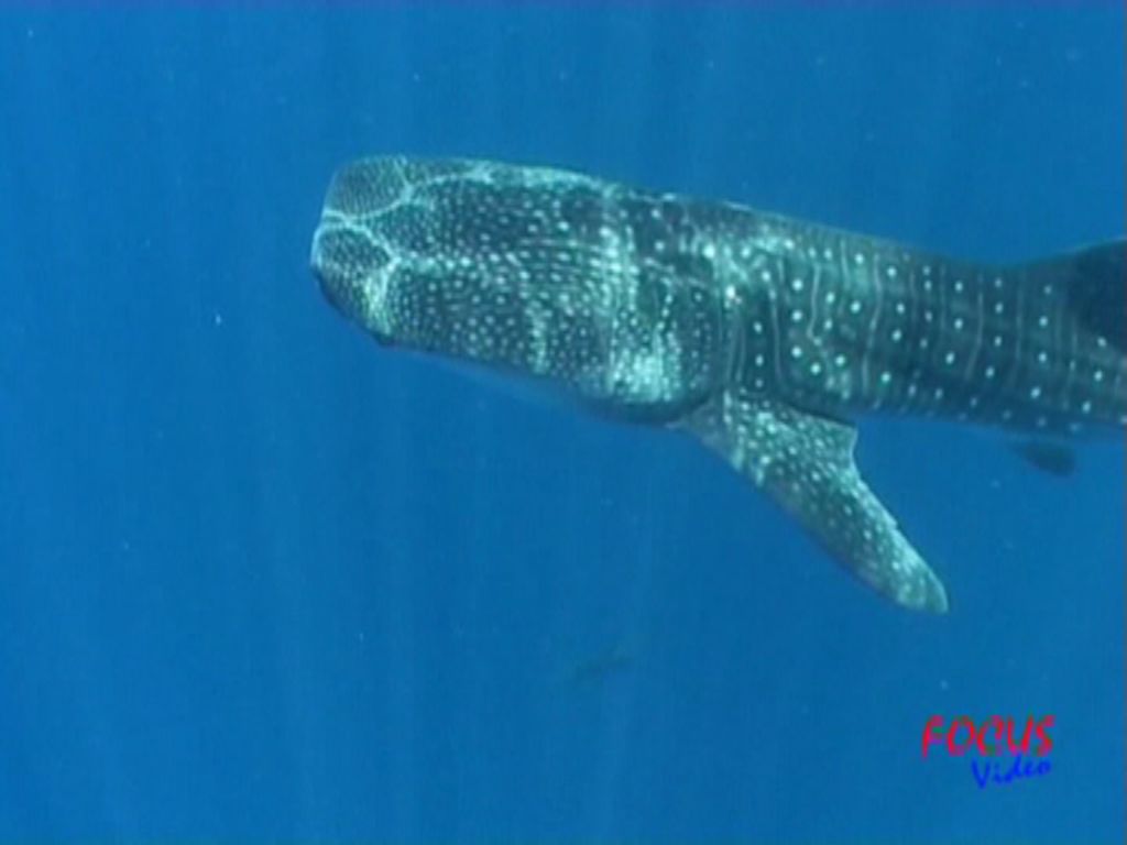 11f9313a-c78d-4de3-a1a2-87fc3510df26