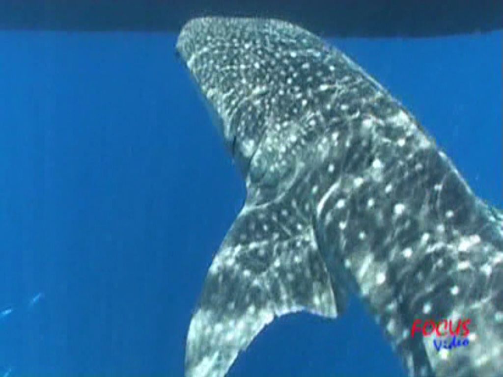 11f9313a-c78d-4de3-a1a2-87fc3510df26