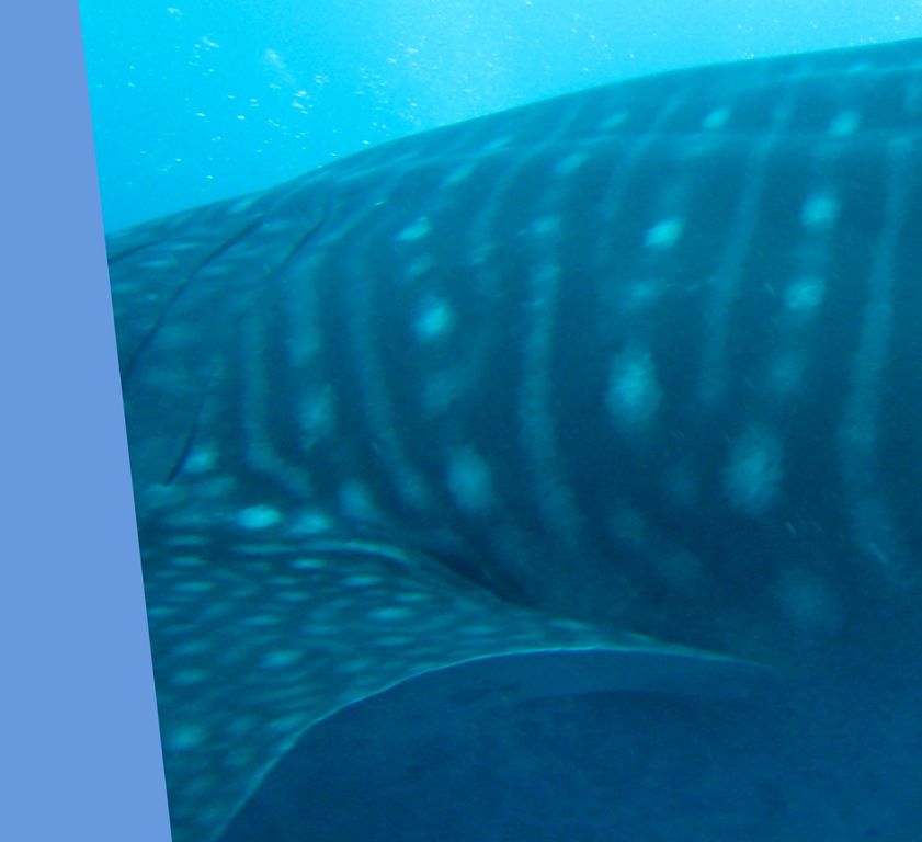 8c88385d-3f32-40ed-9285-2ebac818f44f