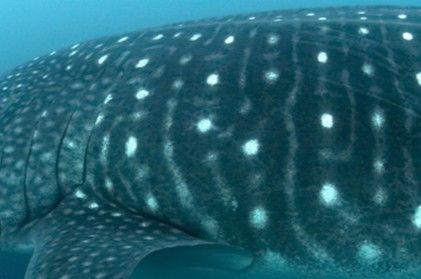 d2e3ac06-65b4-46dc-a9cc-c6dad2ee7468