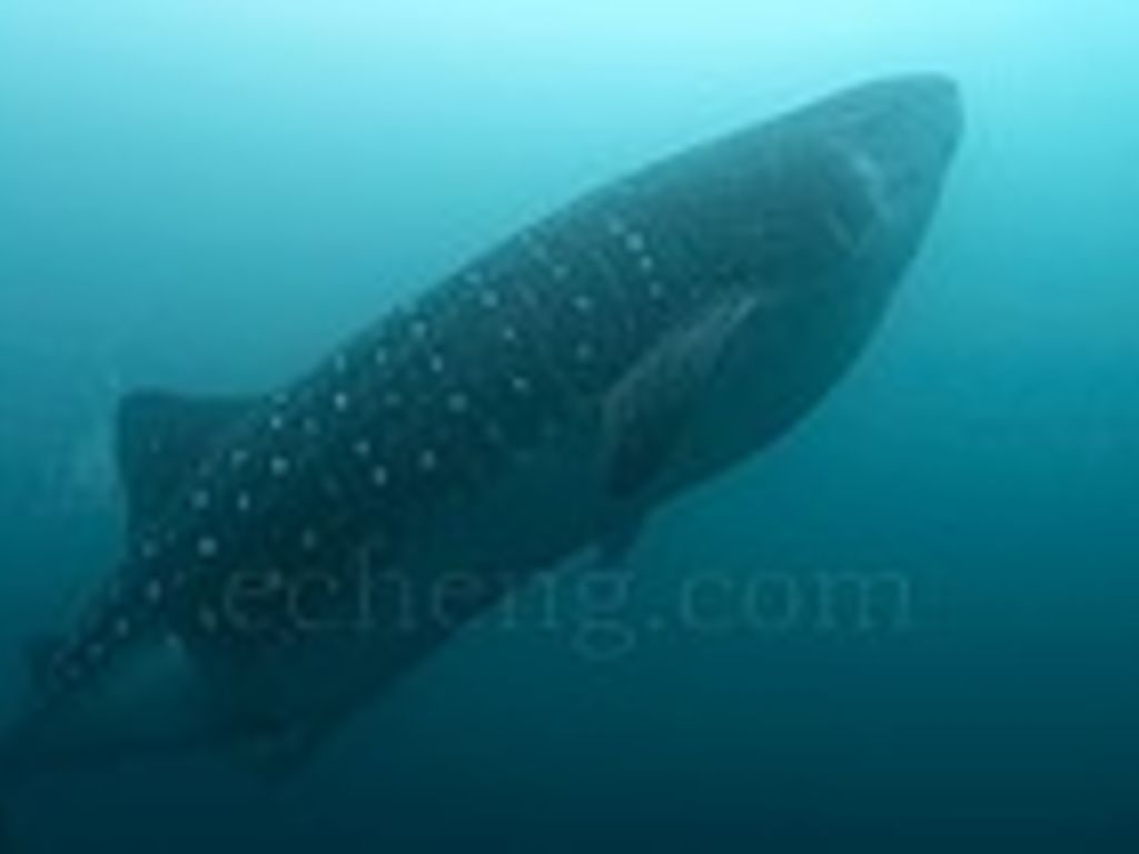 d2e3ac06-65b4-46dc-a9cc-c6dad2ee7468