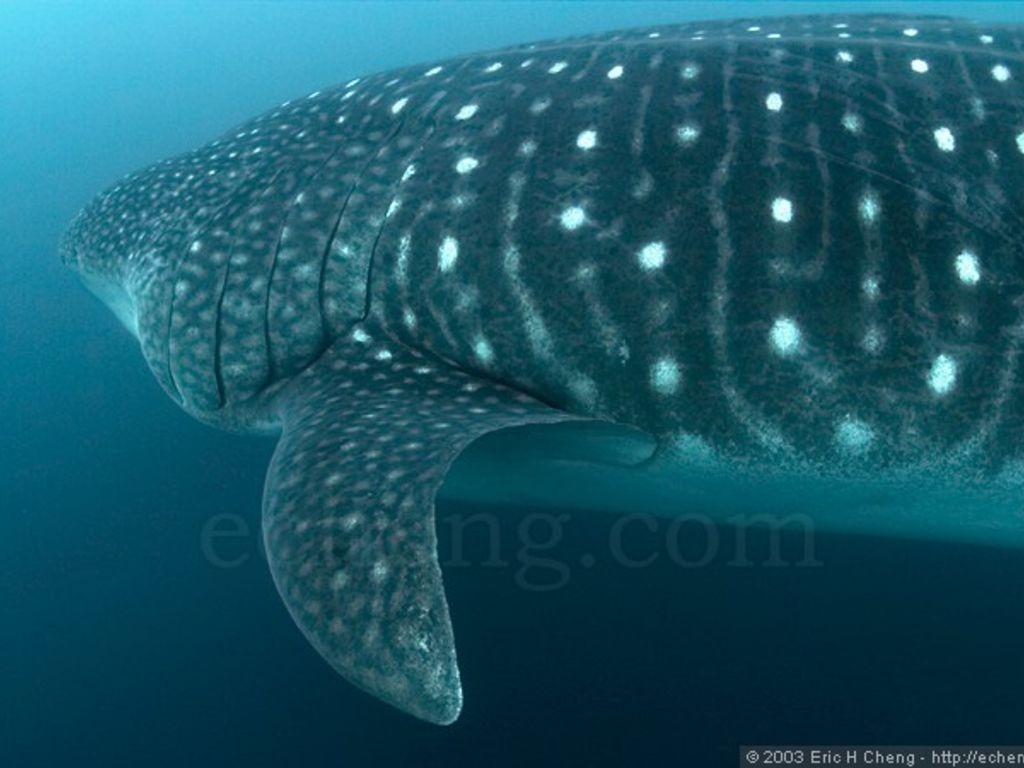 d2e3ac06-65b4-46dc-a9cc-c6dad2ee7468