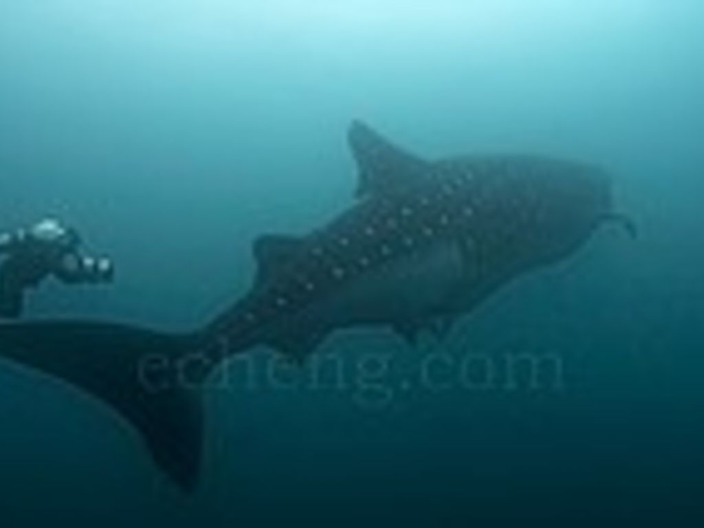 d2e3ac06-65b4-46dc-a9cc-c6dad2ee7468