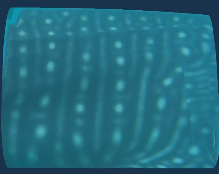 a2d1aba1-0b26-4f6e-8733-9d22e4c2d726