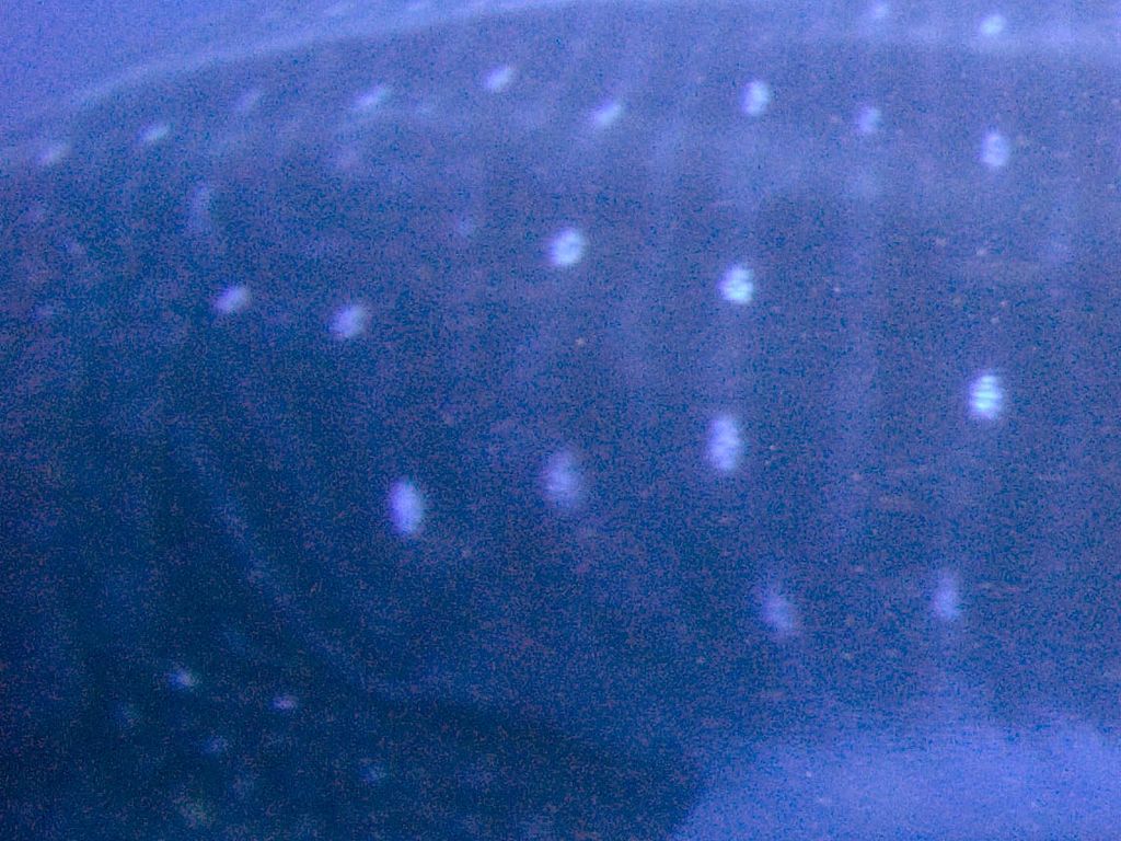 0192fc83-15ed-4735-9297-bb059fddee9f