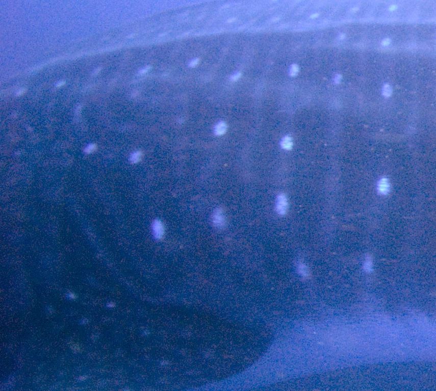 0192fc83-15ed-4735-9297-bb059fddee9f