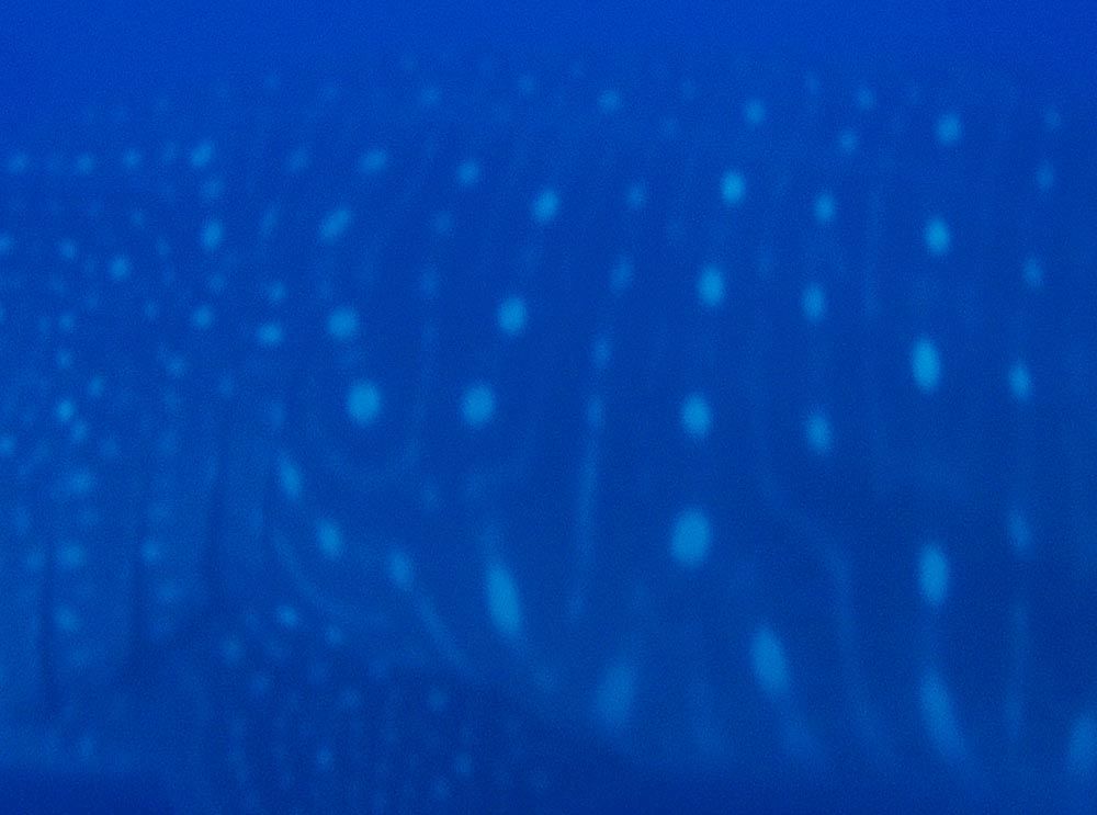 8f4f669d-e75d-4085-89e2-5300b73e7c0e