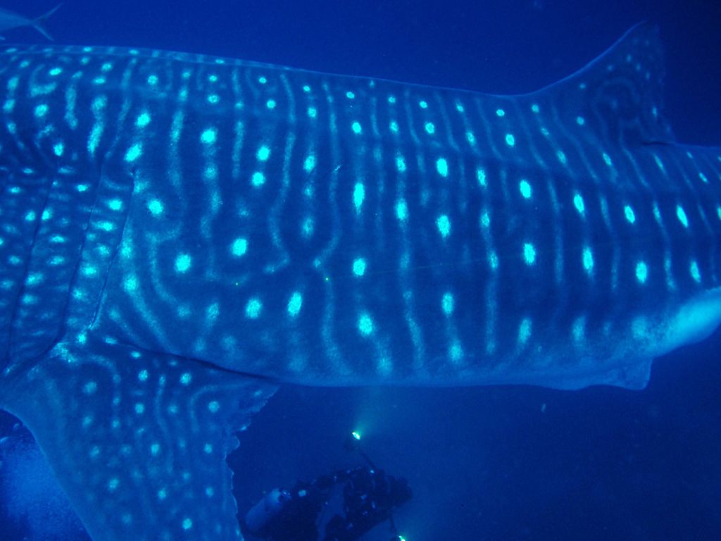 b4cf6661-053b-47e6-b535-0bcfae0b364a