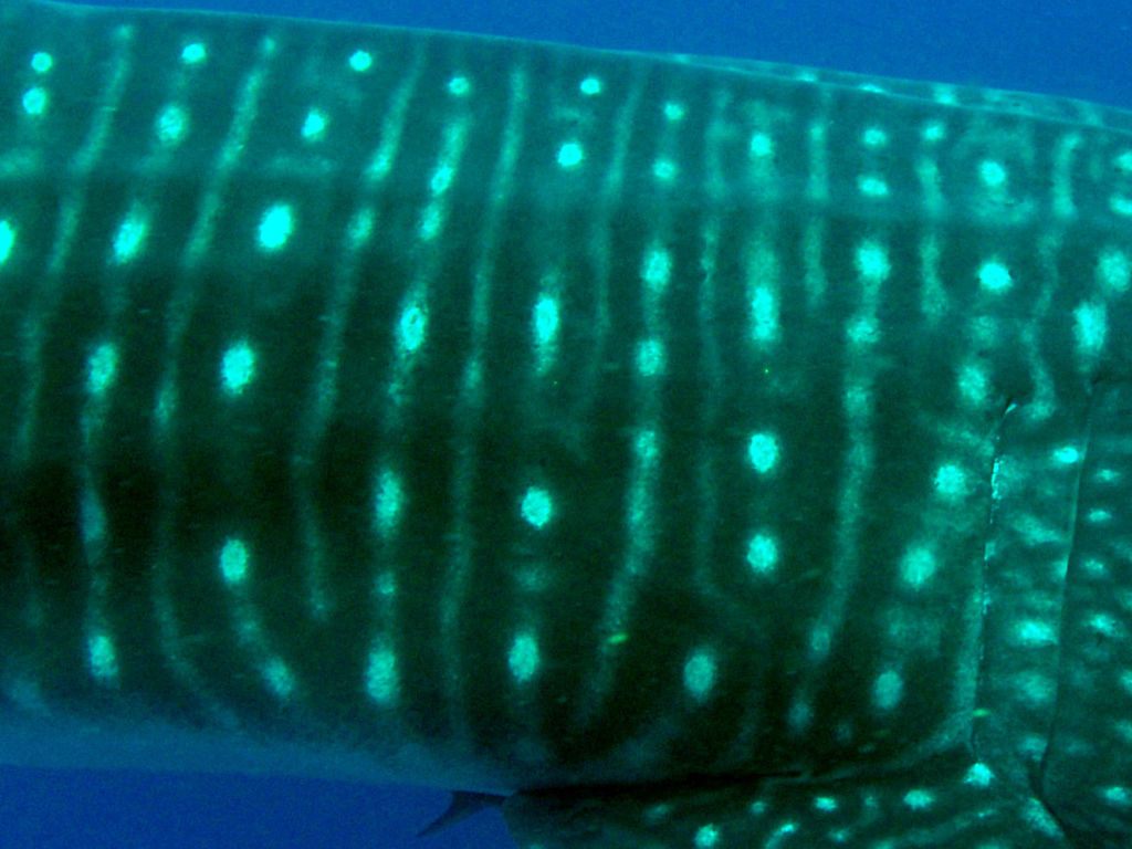 b4cf6661-053b-47e6-b535-0bcfae0b364a