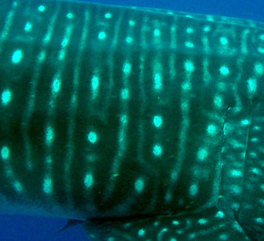 b4cf6661-053b-47e6-b535-0bcfae0b364a