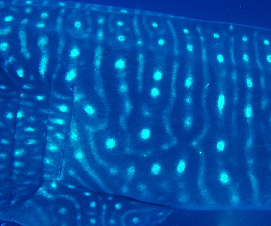 b4cf6661-053b-47e6-b535-0bcfae0b364a