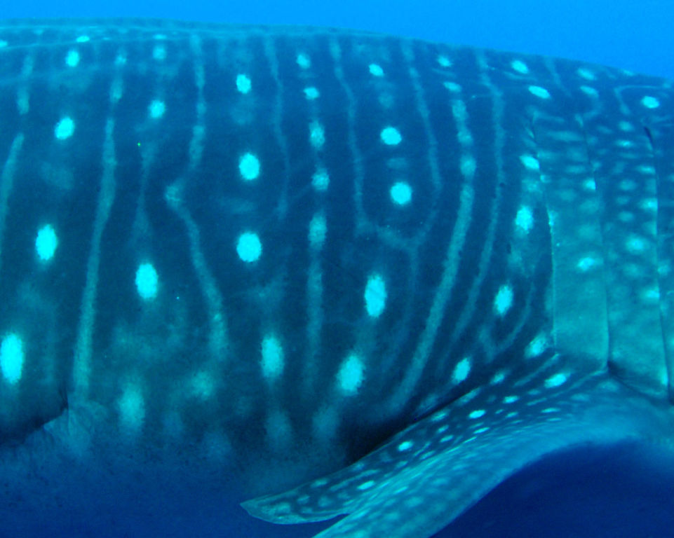 b9442c0d-4847-4fb2-aae5-0ff0aee81aa1