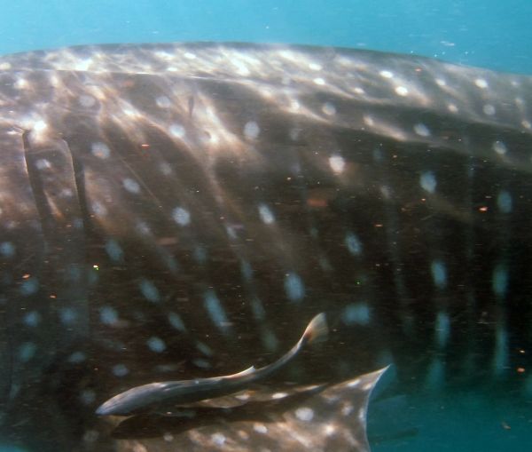 1fc214ac-9b19-4a6e-9164-bc17fdc3ad6f