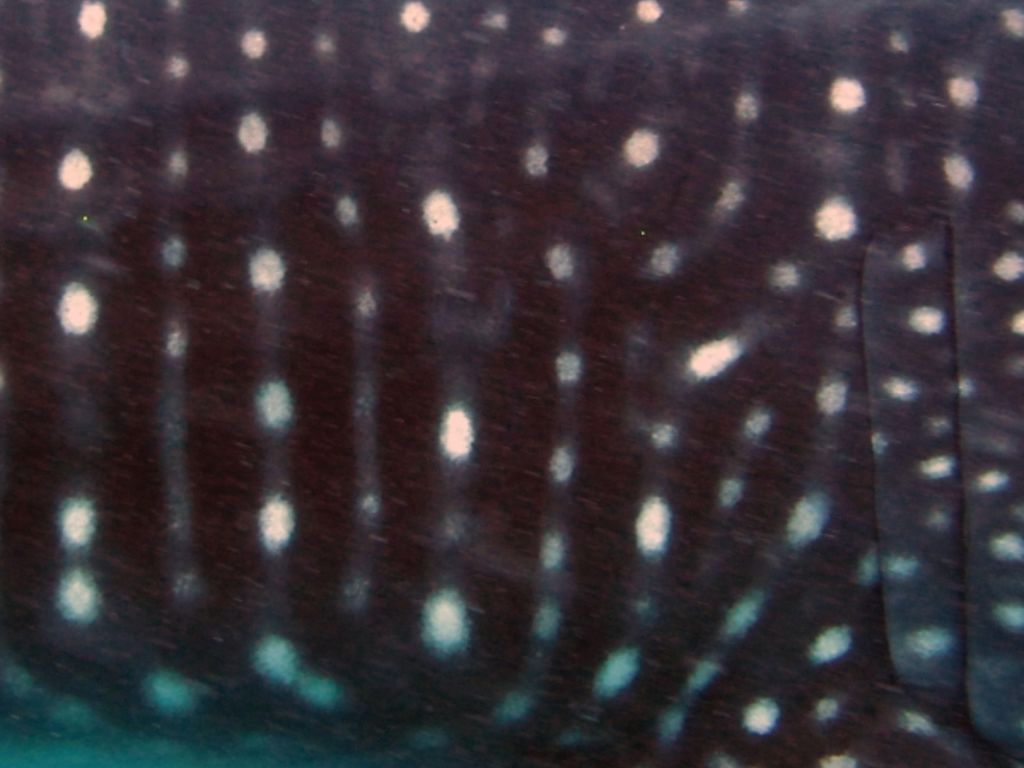 1fc214ac-9b19-4a6e-9164-bc17fdc3ad6f