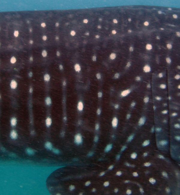 1fc214ac-9b19-4a6e-9164-bc17fdc3ad6f