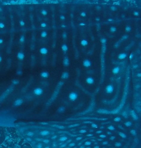 ecae1da7-8114-43ab-ab11-b08e6f08ebd9