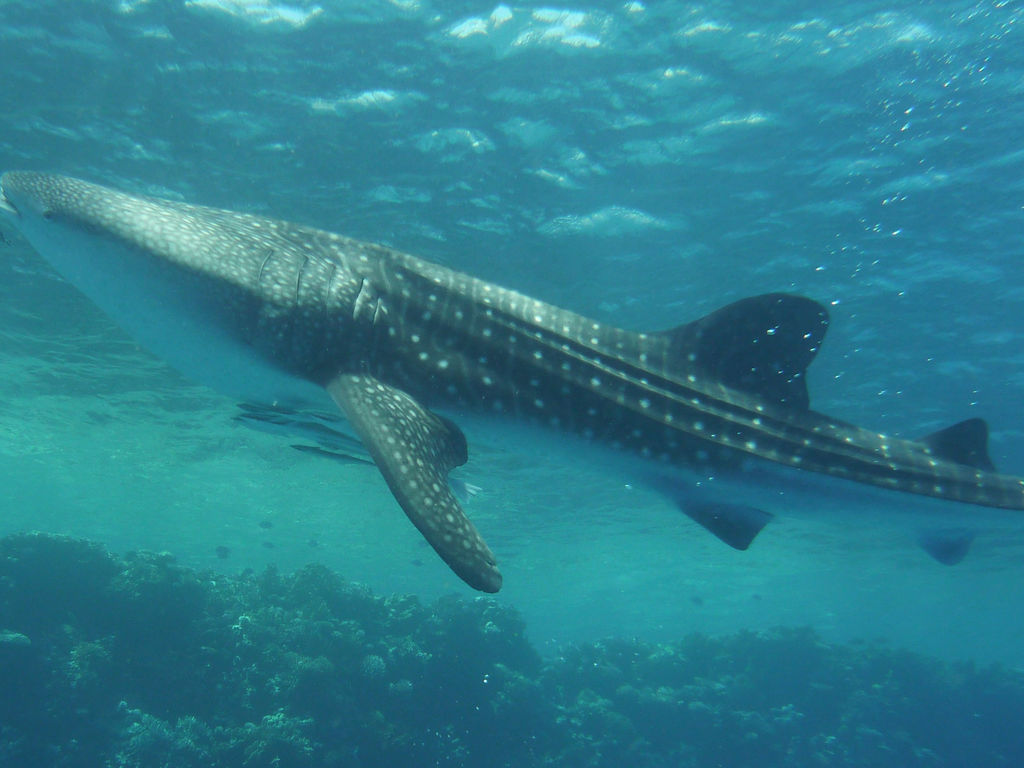 ecae1da7-8114-43ab-ab11-b08e6f08ebd9