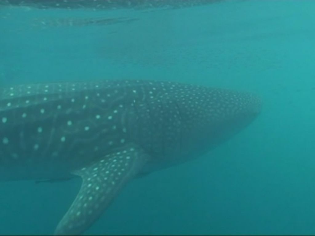 434ea9d5-d2a3-4e67-be3f-181f954261e5