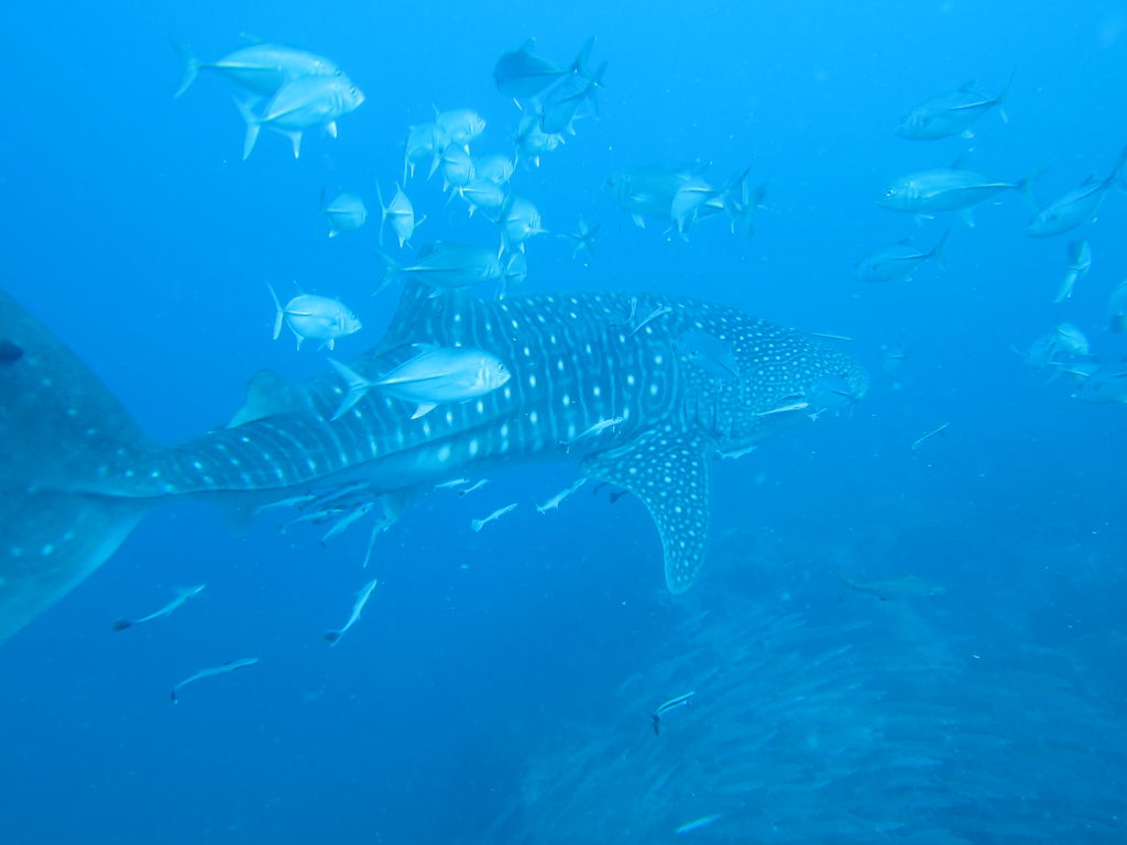 b1d3b707-289d-4c36-b13d-d396e1bd5913