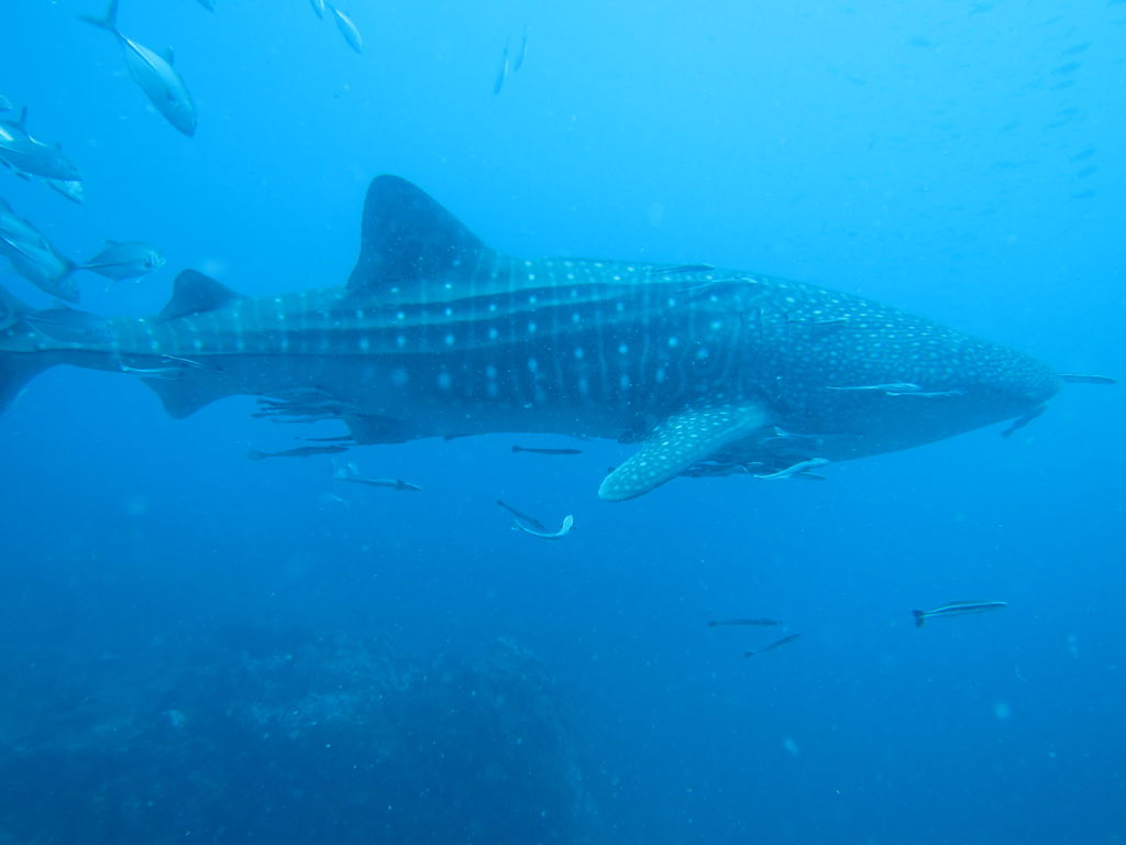 b1d3b707-289d-4c36-b13d-d396e1bd5913