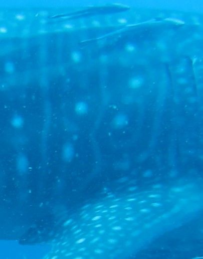 b1d3b707-289d-4c36-b13d-d396e1bd5913