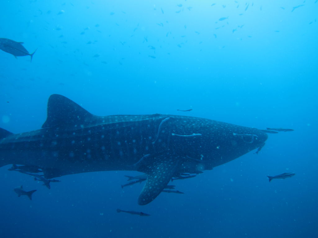 b1d3b707-289d-4c36-b13d-d396e1bd5913