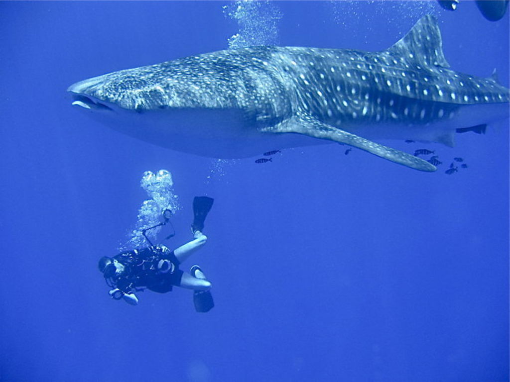 b30d3d65-5ddb-43f0-8822-68977284d2cf