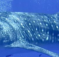 b30d3d65-5ddb-43f0-8822-68977284d2cf