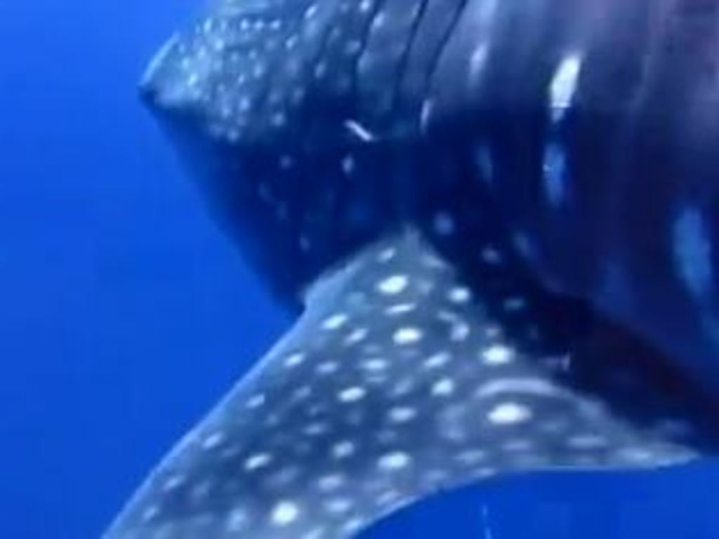 4f8c7e39-1a31-4baa-9ed2-0ff830a8eaf7