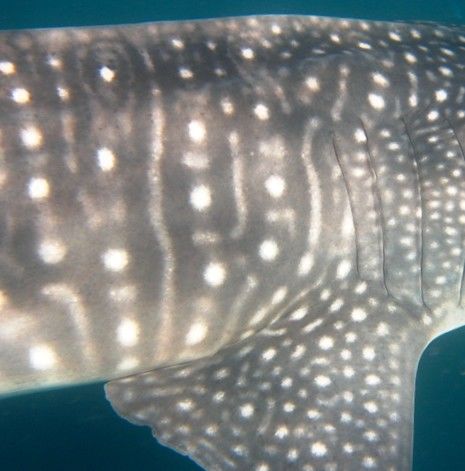 38da85f5-c072-4902-aeb0-7233bc23952b