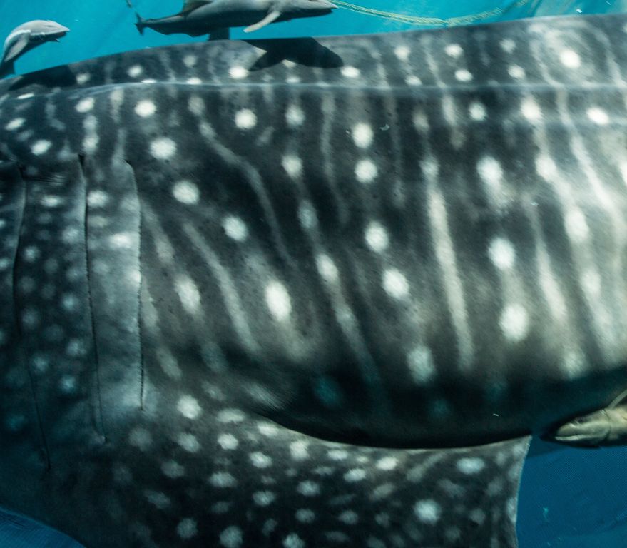 5cdfe795-ed27-415c-8373-f818c7c49622