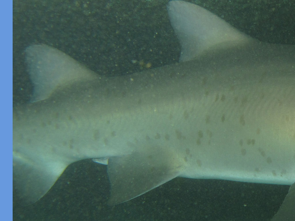 779bc71d-bfcb-4e01-8084-0d92451f4195