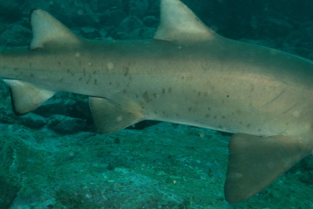 76dcc124-f572-40a1-ac31-456eb911d9f1