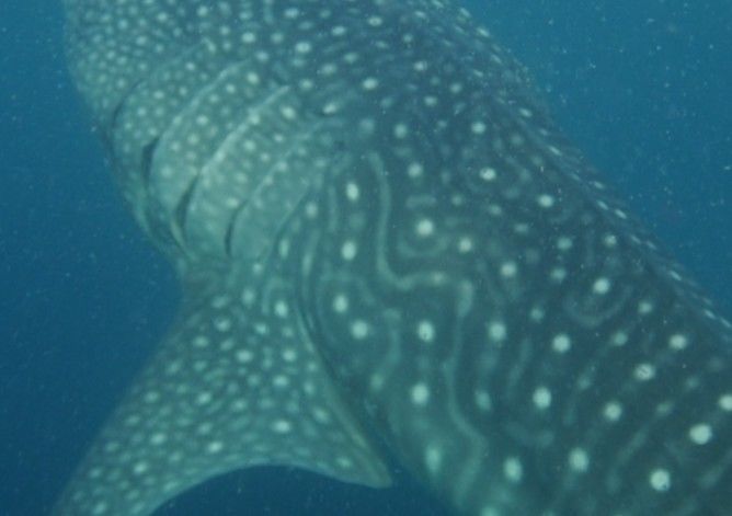 bd7c227b-46ce-4a89-99ce-6223251ea7e8