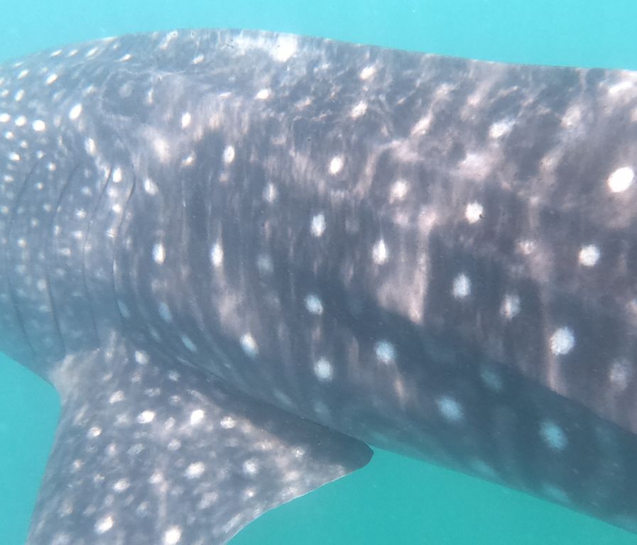 0914f09f-a373-4ea6-b4ad-1bf8f86362b0