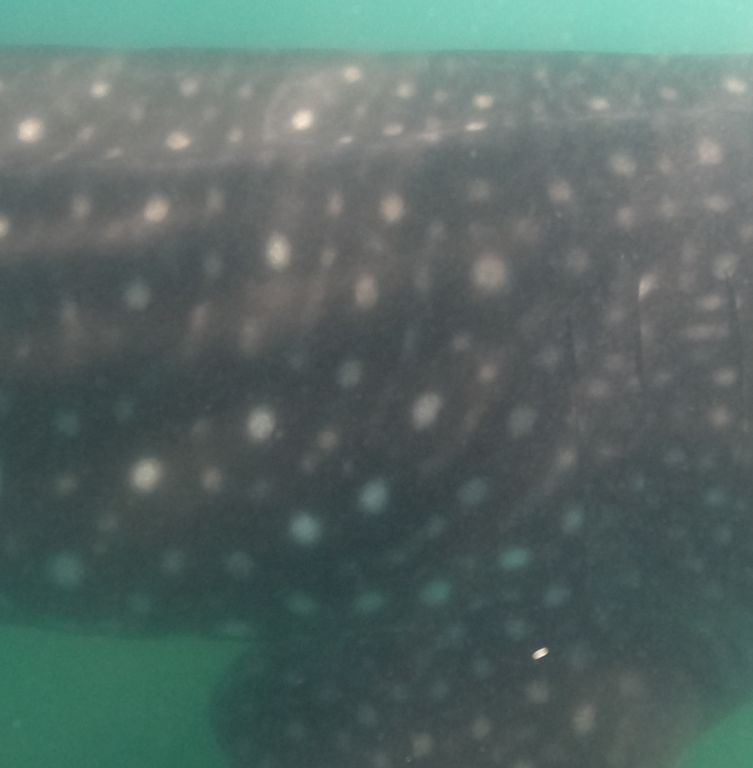 0833010f-053a-400e-a3d5-7e5a0b98ea94