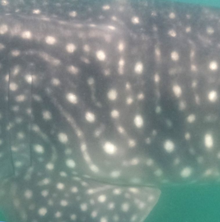 0833010f-053a-400e-a3d5-7e5a0b98ea94