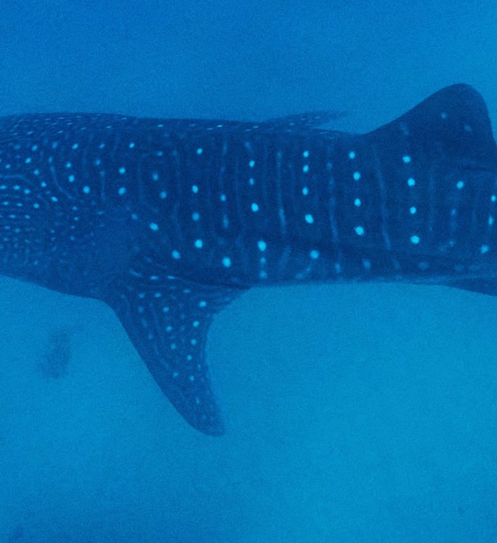 2a66702d-a72d-4196-b483-1a72730f5047