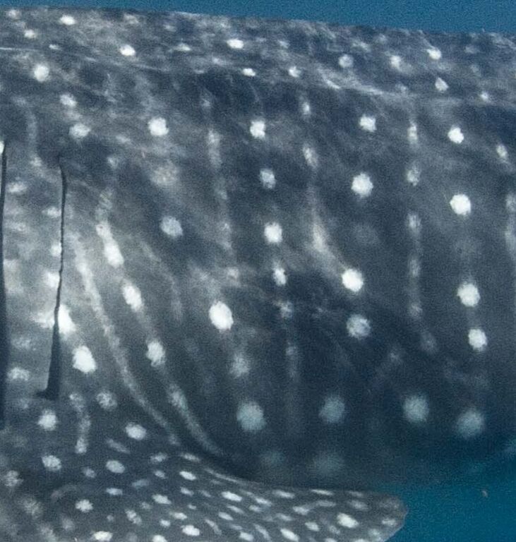 b5d688b7-415d-4ae9-b02f-0c1bf935c5b0