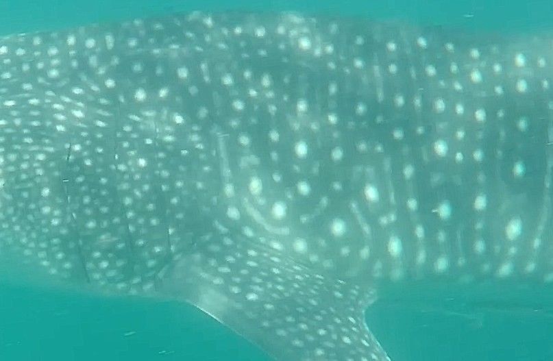 e2507fff-9727-4036-8a0d-b105d0dd1905