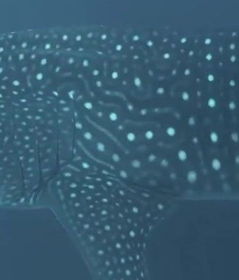 4db8f7cd-f7e7-49cb-9f8f-3538784b613d