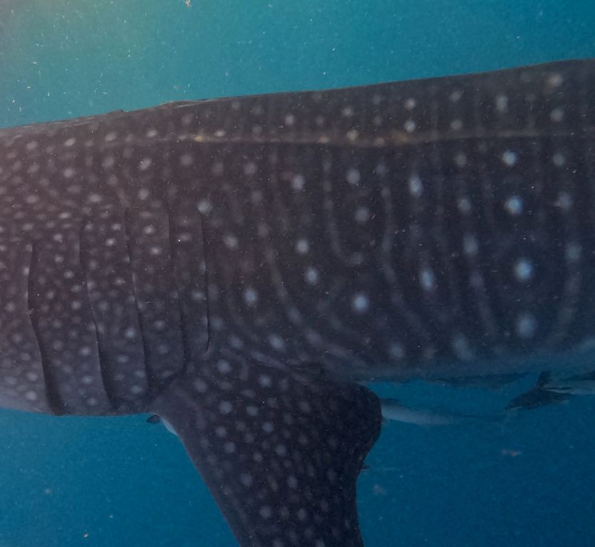 bc5170a1-0a1f-48be-872a-787b567b279e