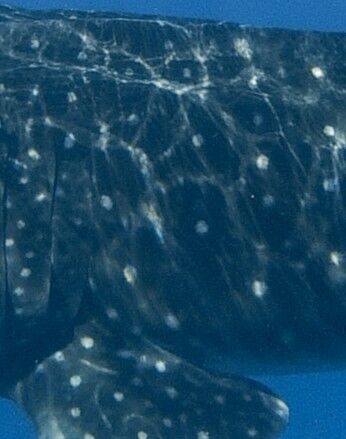 bd30295c-ecd7-42af-832d-366b6a63efec